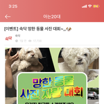 커뮤니티에서 한 망한 <b>동물</b> 사진 대회ㅋㅋㅋㅋㅋㅋㅋㅋㅋㅋㅋ