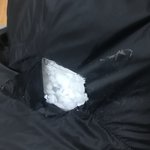 [개깊은빡침] 애견카페 개가 뜯은 패딩 배상은 나몰라라 하네요