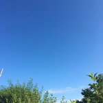 ㅅㅂ선<b>페하</b>고싶다