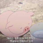 [드루와] 너네 할머니집에 공유기있냐