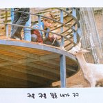 [NCT] <b>셀피</b>북 살걸그랬나