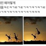 나 <b>포커</b>페이스 개오짐