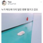 [댓글부탁해] 어공주 보는 애들 있음??