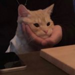 [드루와] 완전 귀엽지 않냐ㅜㅜㅅ