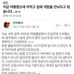 [19] 이사람 욕하는거나만이해안가냐