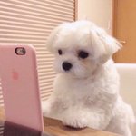 시 발 생리통 <b>아파</b>죽겠다 신발