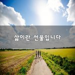 [꼭봐주세요] 삶이란 선물입니다~