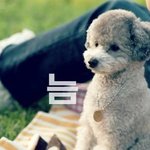 [꼭조언부탁] 이런 눈은 화장 어떻게 해...?