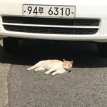 에버랜드 알바 꿀팁