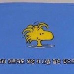 [드루와] 따돌림 당해서 힘든 친구들아