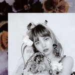 블핑 블랙핑크 <b>리사</b> 로제 지수 제니