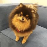 갤럭시<b>산거</b> 오지게 후회중