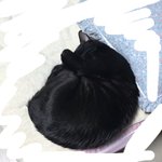 [드루와] <b>이케</b> 귀여운데 어케 안 사랑해