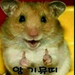 요즘 20대 판