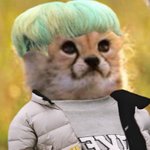[NCT] 우리마크 <b>효자</b>야