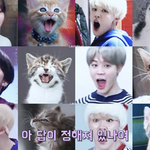 [댓글부탁해] 나 진로가 <b>생명</b>공학인데