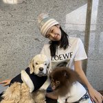 블랙핑크 블핑 제니 <b>리사</b> 지수 로제