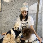 블핑 블랙핑크 <b>리사</b> 로제 지수 제니