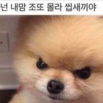 [댓글부탁해] <b>에어</b>팟 쓰는 애들만 들어와