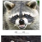 중국인은 <b>진화</b> 빼고 다싫어....