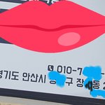 애견장례식 문제점.애들 보내실분 참고하세요