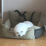 [드루와] 옵치 하는사람 들어와바