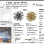 [댓글부탁해] 코로나 <b>바이러스</b> 개심각한데...??