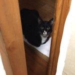 [드루와] ㄸ 싸고있는데 얘가 <b>재촉</b>해