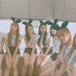 옴걸의 <b>비쥬얼</b> 합