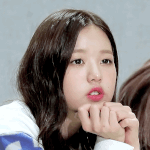 [댓글부탁해] 너흰 어떤 <b>동물상</b>이 좋아??