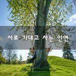 [좋은생각] <b>서로</b> 기대고 사는 인연~
