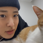 [빅톤] 병찬이 전주간첩 인정? (어제 브리앱 중에서)