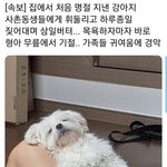 이게 어케 <b>형아</b> 무릎이노 ㅋㅋ
