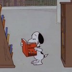 [댓글부탁해] <b>미용</b> 몸무게