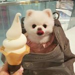[댓글부탁해] 나 19살인데 자꾸 32살인 오빠가 만나재