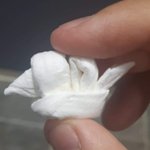 <b>오리</b> 다시접었어