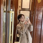 옷 추반좀