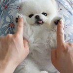 [댓글부탁해] 우리 오빠 군대감 ㅋㅋㅋㅋㅋㅋㅋㅋ 아 ㅋㅋ
