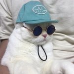 [드루와] 근데 걍 궁금한건데 왜 <b>강사</b>들 인기 많음??