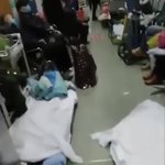 충격적인 우한시 상황