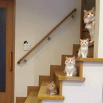 우왕 신기 ㅎㅎㅎㅎㅎㅎ