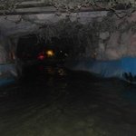 [무서운얘기] 방금 <b>롯데</b>월드 정글탐험보트에 갇힌 꿈 꿨어