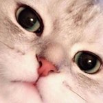 <b>연상</b>연하 둘 다 사겨봤는데 헤어질 때 ㄹㅇ