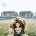 [방탄소년단] <b>제이홉</b> 이 사진 너무 좋아