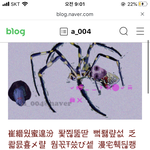 이상한 <b>블로그</b>