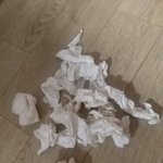 [워너원] 살짝<b>더러움주</b>의)와 방금 막콘영상 봤는데