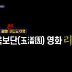 옥보단 칵테일