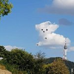 요번 <b>바이러스</b>