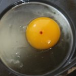 [댓글부탁해] 애들아 계란<b>노른자</b> 이거상함??