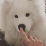 [드루와] 마스크 손<b>소독</b>제 또 뭐사야하냐?